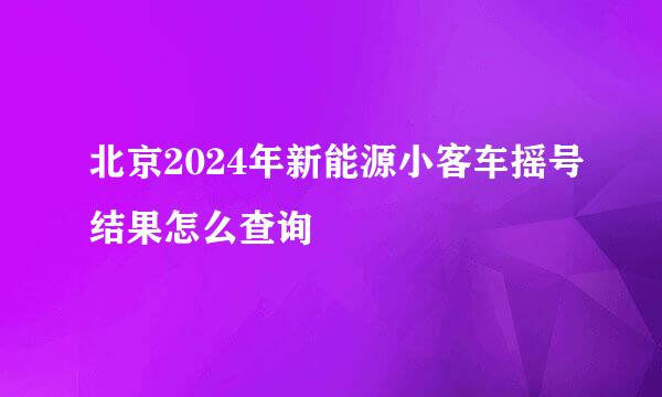 北京2024年新能源小客车摇号结果怎么查询