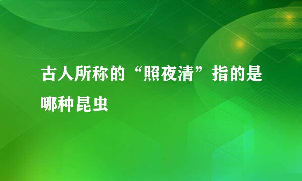 古人所称的“照夜清”指的是哪种昆虫