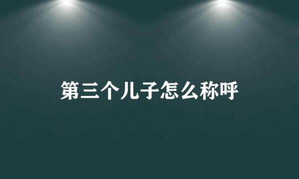 第三个儿子怎么称呼