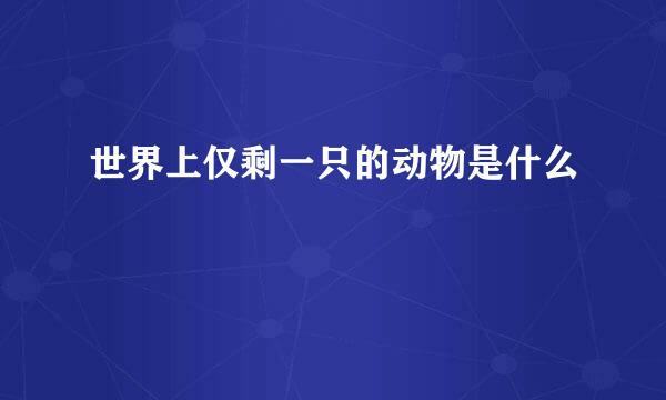 世界上仅剩一只的动物是什么