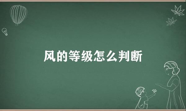 风的等级怎么判断