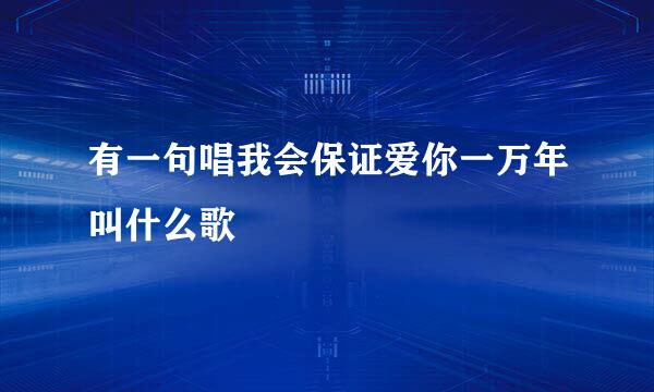 有一句唱我会保证爱你一万年叫什么歌