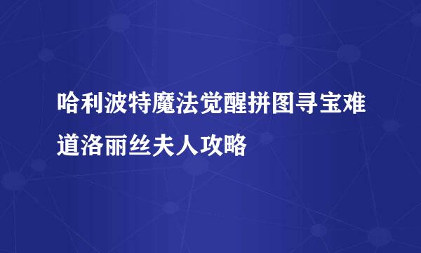 哈利波特魔法觉醒拼图寻宝难道洛丽丝夫人攻略