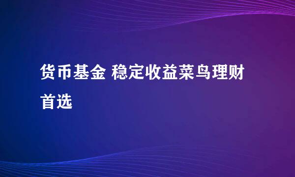货币基金 稳定收益菜鸟理财首选