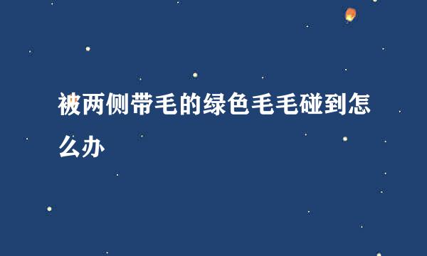 被两侧带毛的绿色毛毛碰到怎么办