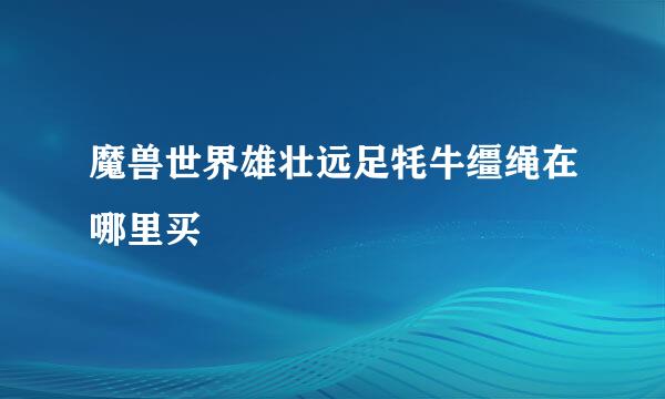 魔兽世界雄壮远足牦牛缰绳在哪里买