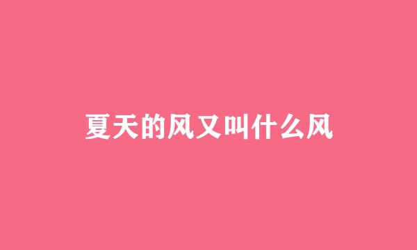 夏天的风又叫什么风