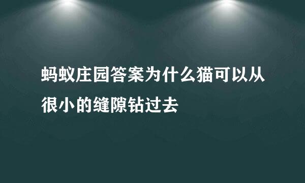 蚂蚁庄园答案为什么猫可以从很小的缝隙钻过去