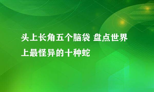 头上长角五个脑袋 盘点世界上最怪异的十种蛇