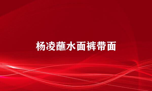 杨凌蘸水面裤带面