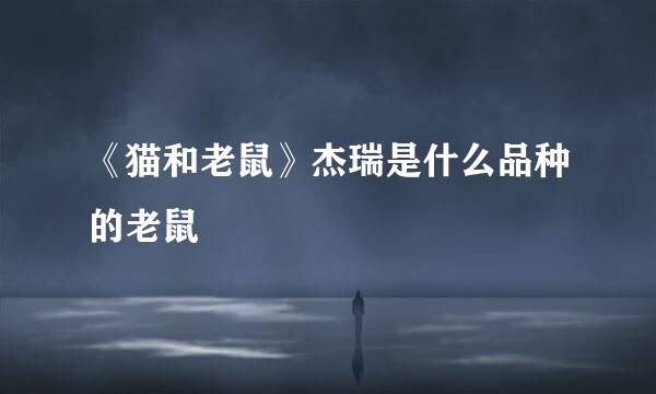 《猫和老鼠》杰瑞是什么品种的老鼠