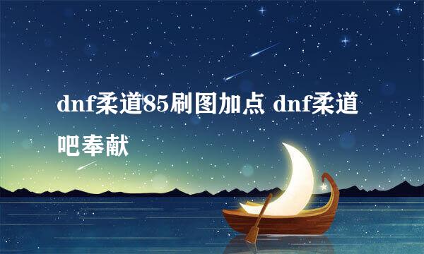 dnf柔道85刷图加点 dnf柔道吧奉献