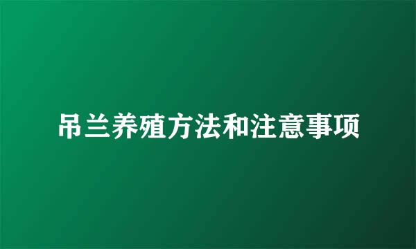 吊兰养殖方法和注意事项
