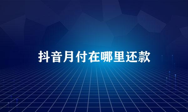 抖音月付在哪里还款