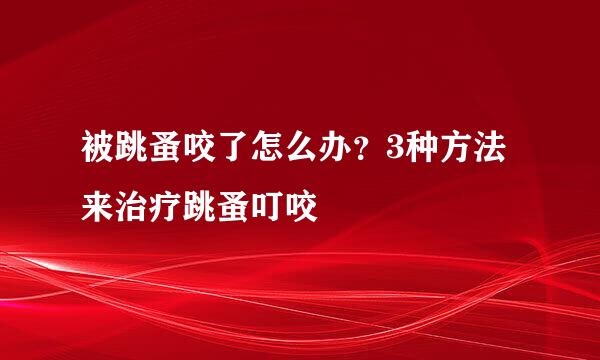 被跳蚤咬了怎么办？3种方法来治疗跳蚤叮咬
