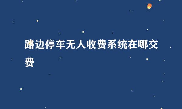 路边停车无人收费系统在哪交费