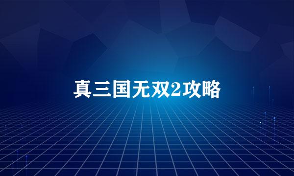 真三国无双2攻略