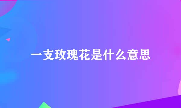 一支玫瑰花是什么意思
