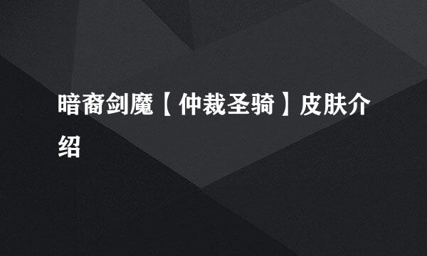 暗裔剑魔【仲裁圣骑】皮肤介绍