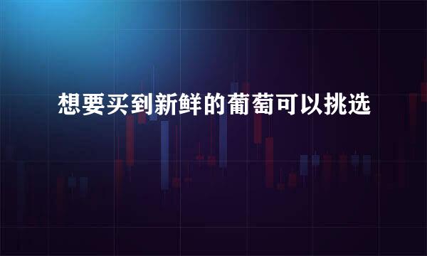 想要买到新鲜的葡萄可以挑选