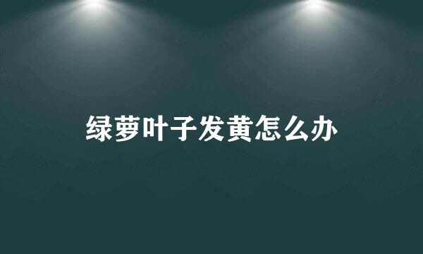 绿萝叶子发黄怎么办