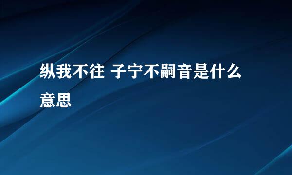 纵我不往 子宁不嗣音是什么意思
