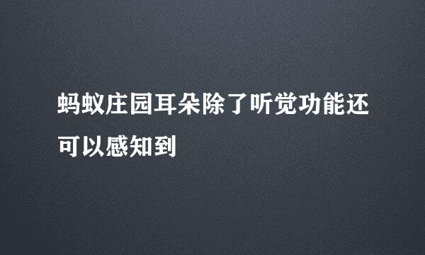 蚂蚁庄园耳朵除了听觉功能还可以感知到