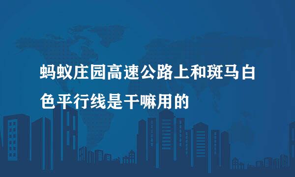蚂蚁庄园高速公路上和斑马白色平行线是干嘛用的