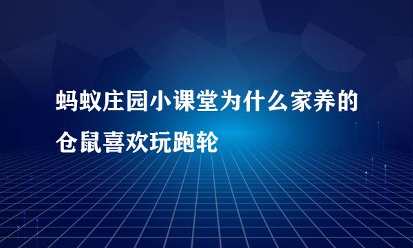 蚂蚁庄园小课堂为什么家养的仓鼠喜欢玩跑轮