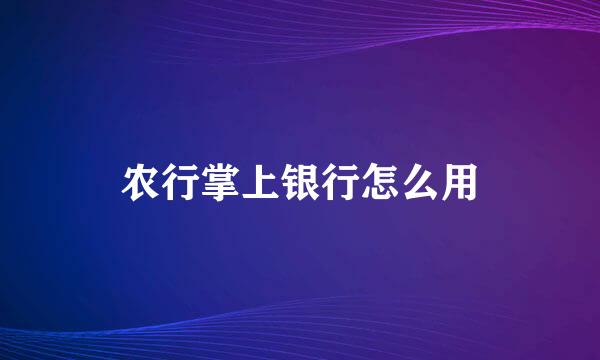 农行掌上银行怎么用