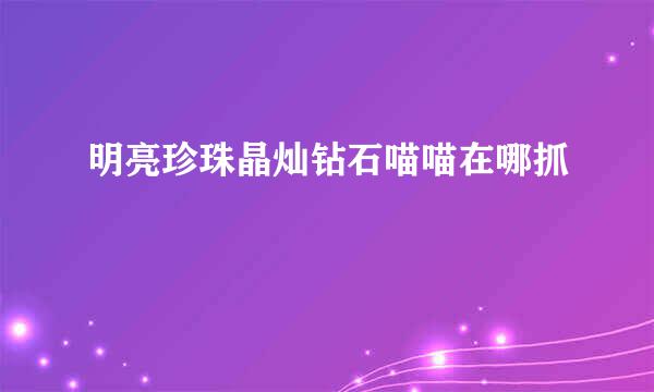 明亮珍珠晶灿钻石喵喵在哪抓