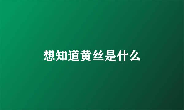 想知道黄丝是什么