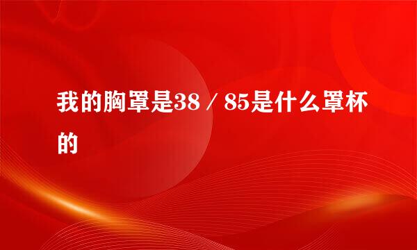 我的胸罩是38／85是什么罩杯的