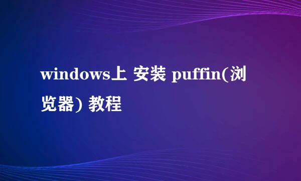windows上 安装 puffin(浏览器) 教程
