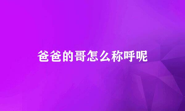 爸爸的哥怎么称呼呢
