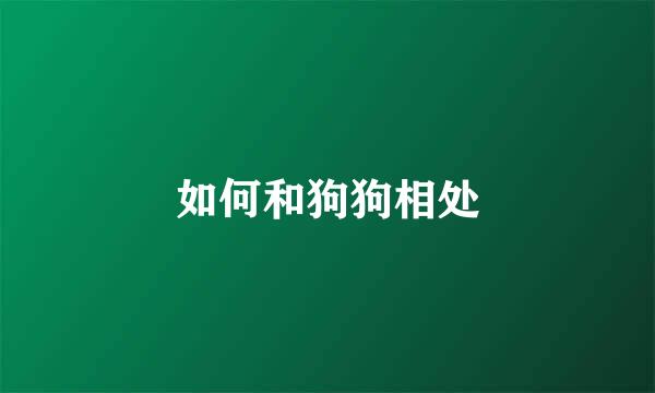 如何和狗狗相处