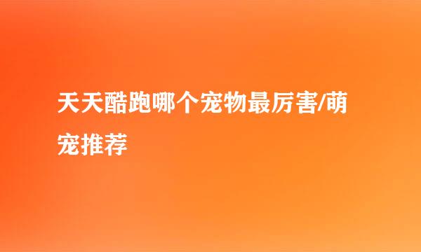 天天酷跑哪个宠物最厉害/萌宠推荐