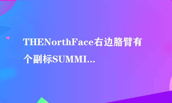 THENorthFace右边胳臂有个副标SUMMITSERIES是什么意思