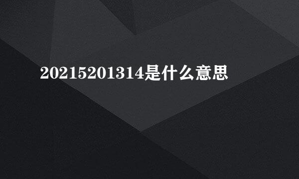 20215201314是什么意思