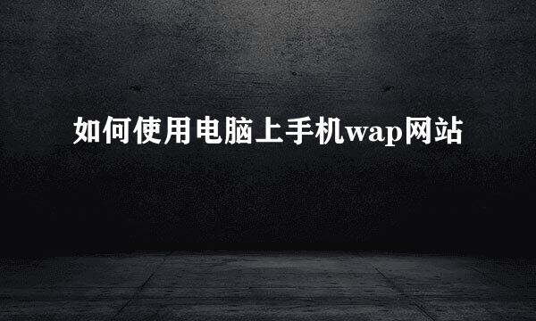 如何使用电脑上手机wap网站