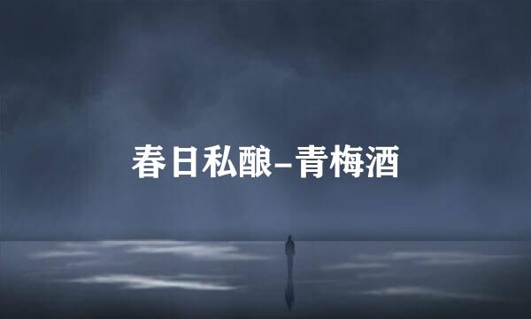 春日私酿-青梅酒