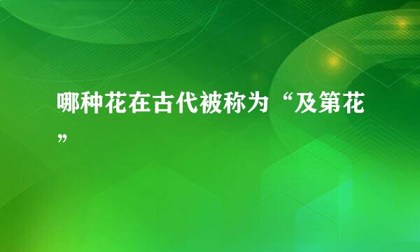 哪种花在古代被称为“及第花”