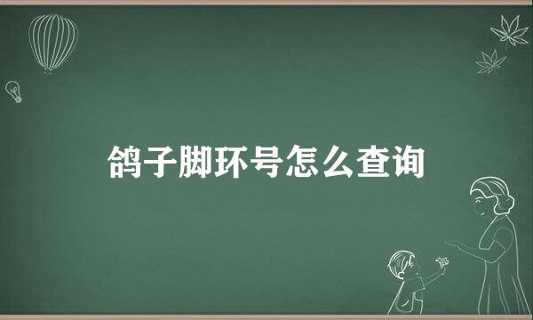 鸽子脚环号怎么查询