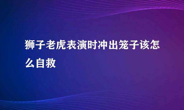 狮子老虎表演时冲出笼子该怎么自救