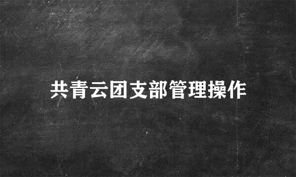 共青云团支部管理操作