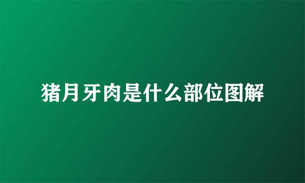 猪月牙肉是什么部位图解