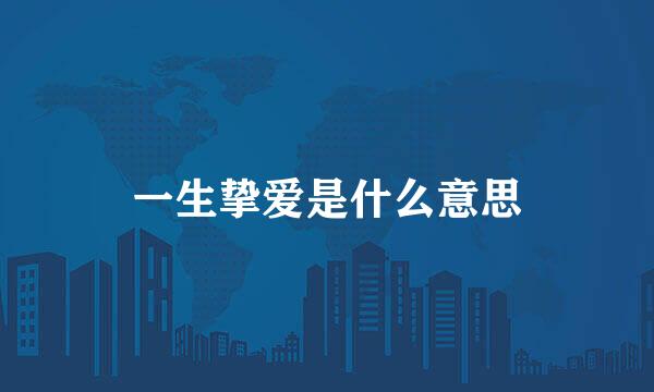 一生挚爱是什么意思