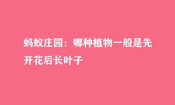 蚂蚁庄园：哪种植物一般是先开花后长叶子