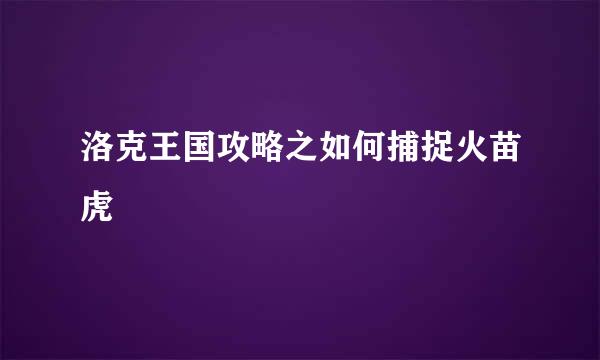 洛克王国攻略之如何捕捉火苗虎