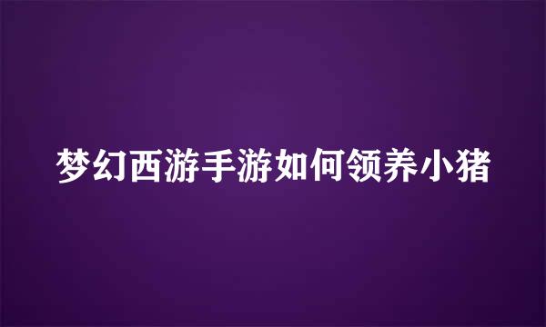 梦幻西游手游如何领养小猪